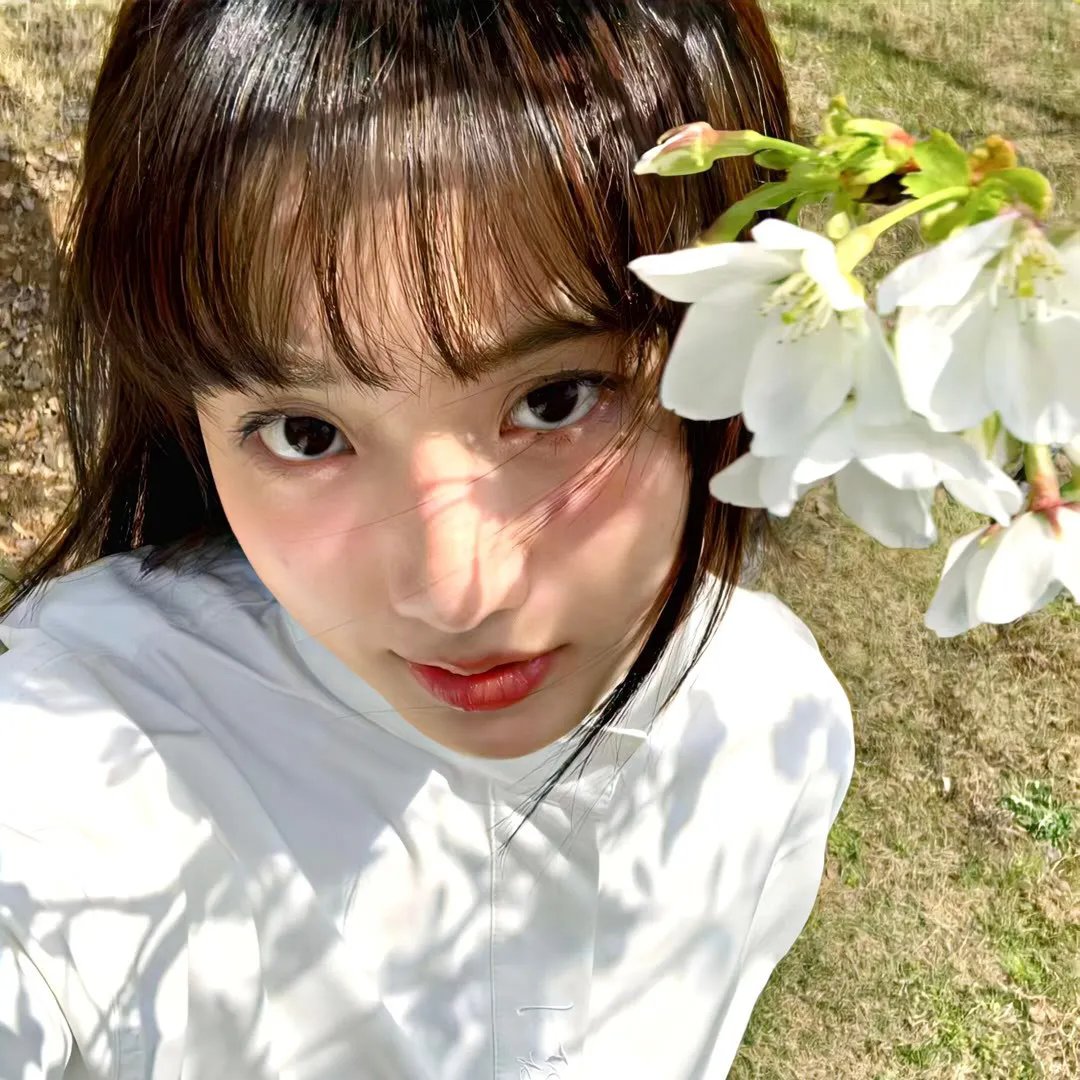 少年歌行真人版